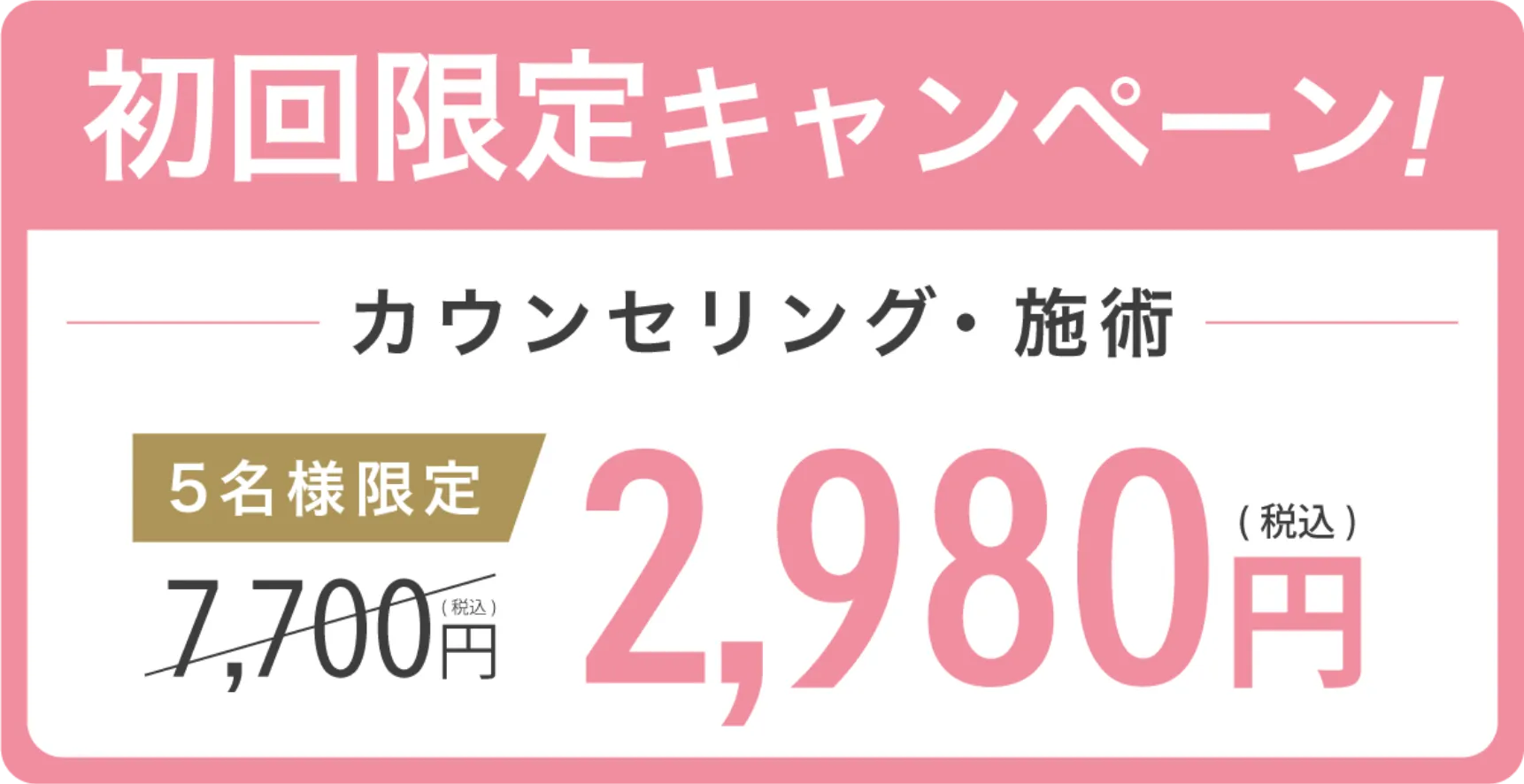 初回限定価格